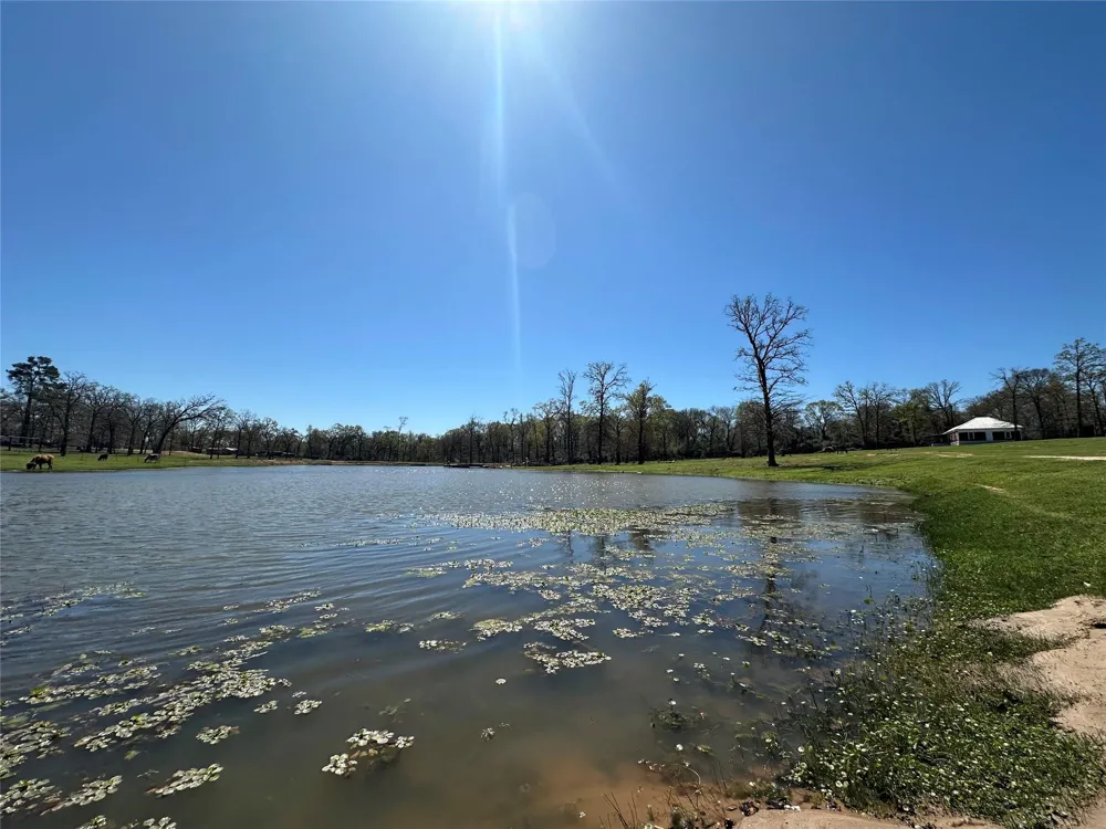 8773 I-45 S Centerville, TX 75833
