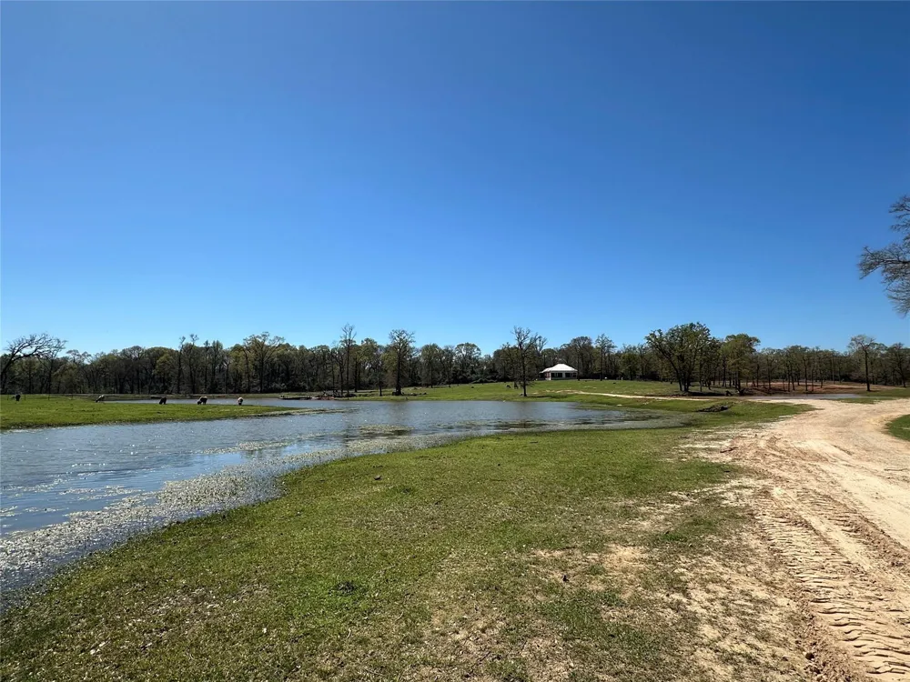8773 I-45 S Centerville, TX 75833