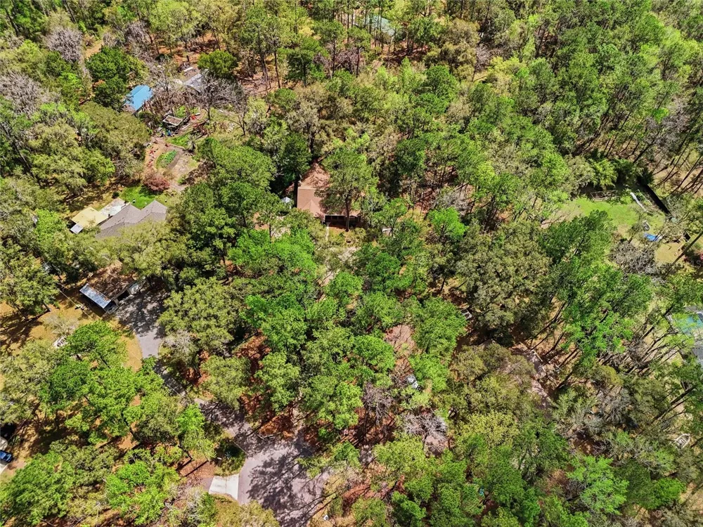 19513 NW 240TH LANE High Springs, FL 32643