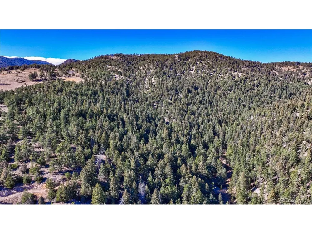774 Cougar Drive Boulder, CO 80302