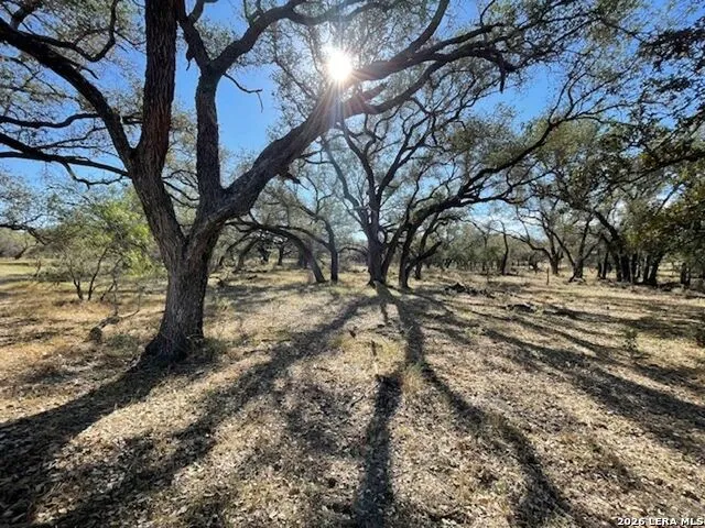1384 County Road 326 Adkins, TX 78101
