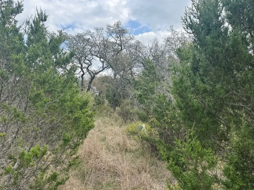 33 Eagle Feather Kingsland, TX 78639