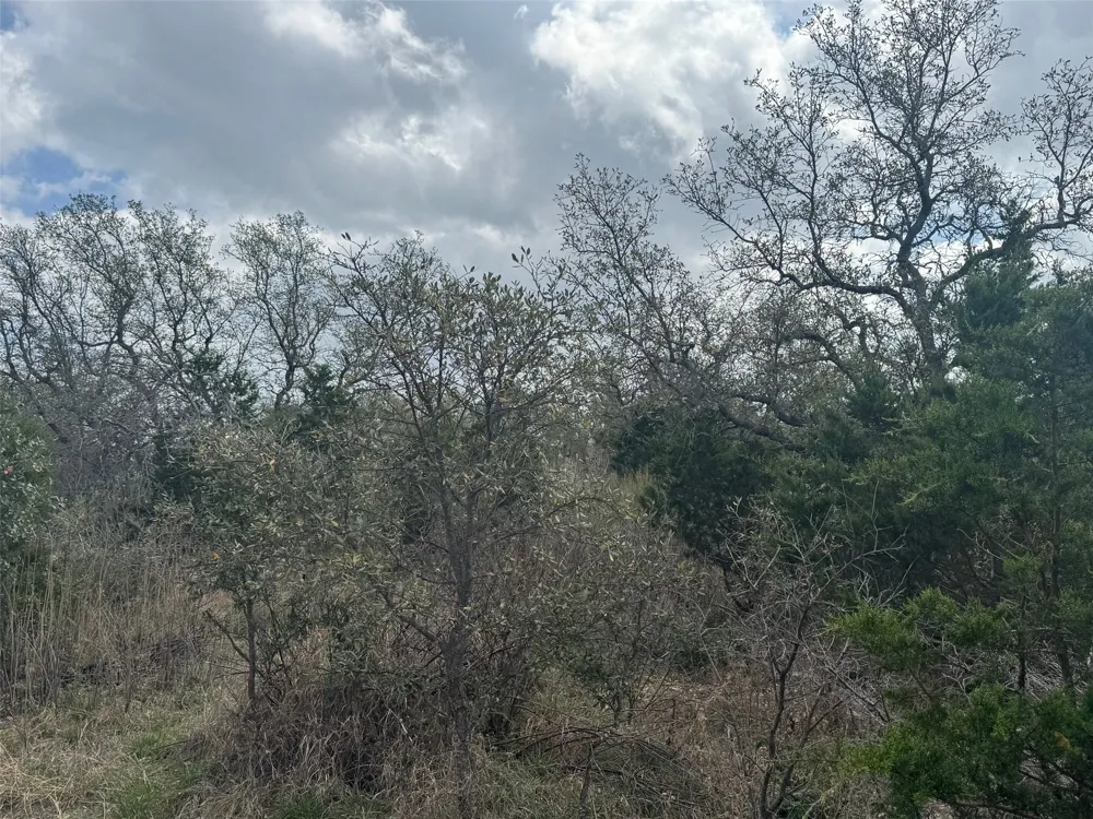 33 Eagle Feather Kingsland, TX 78639