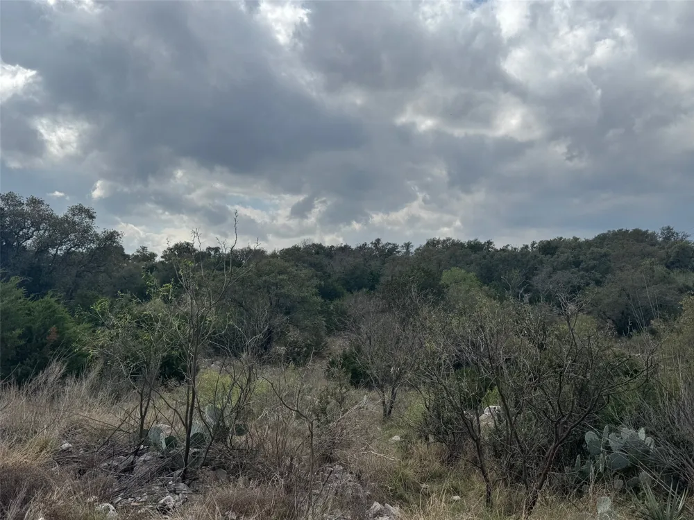 33 Eagle Feather Kingsland, TX 78639