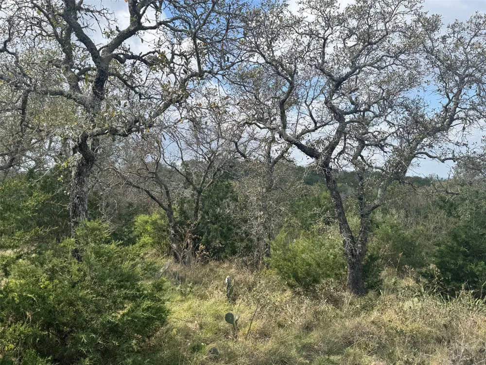 33 Eagle Feather Kingsland, TX 78639