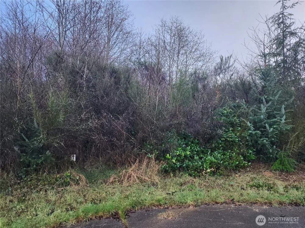 1 MURRE CT Hoquiam, WA 98550