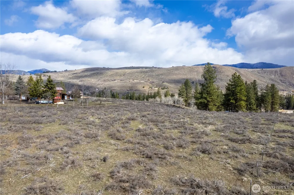 40 TBD Rabbit House Road Winthrop, WA 98862