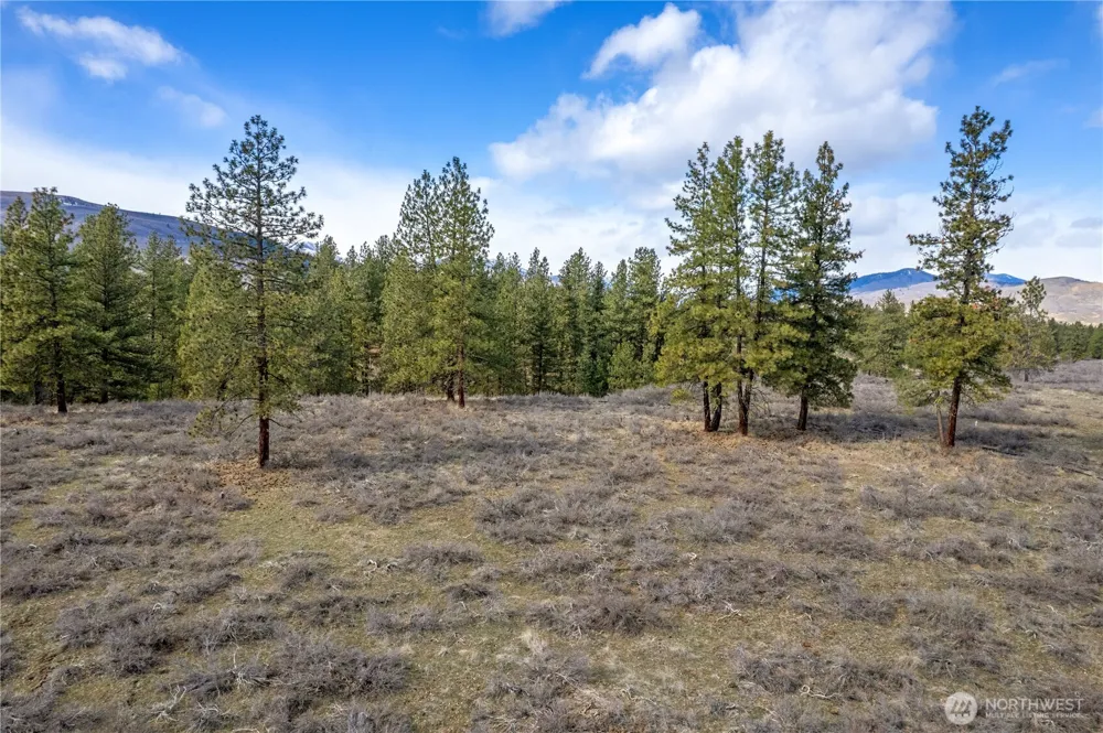 40 TBD Rabbit House Road Winthrop, WA 98862