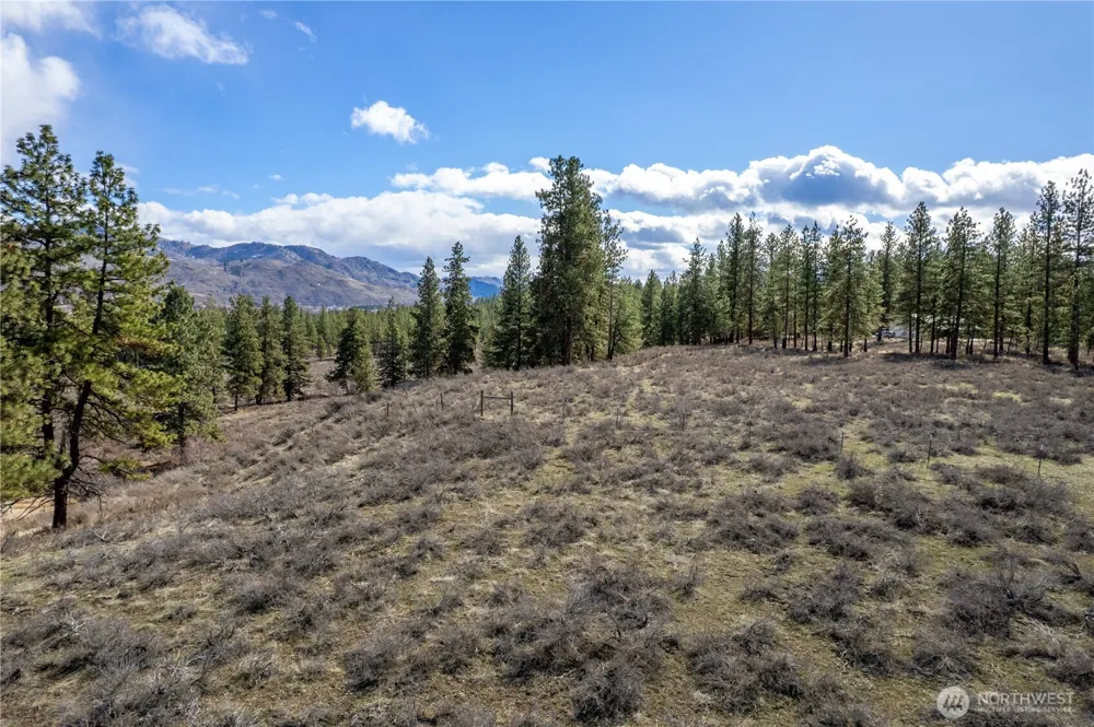40 TBD Rabbit House Road Winthrop, WA 98862