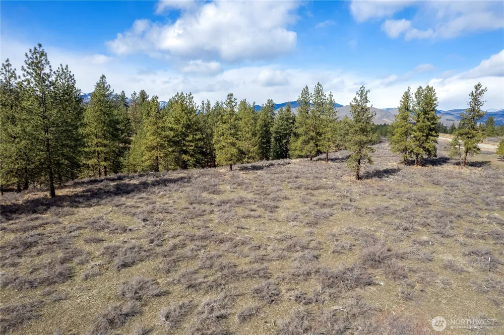 40 TBD Rabbit House Road Winthrop, WA 98862