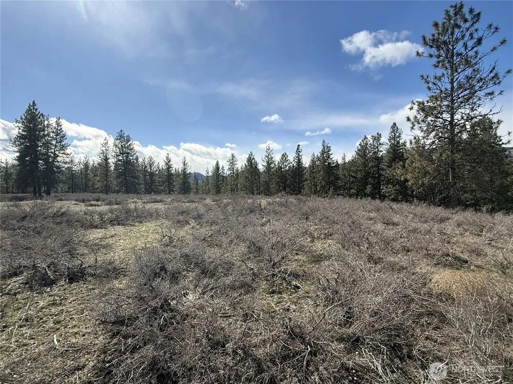 40 TBD Rabbit House Road Winthrop, WA 98862