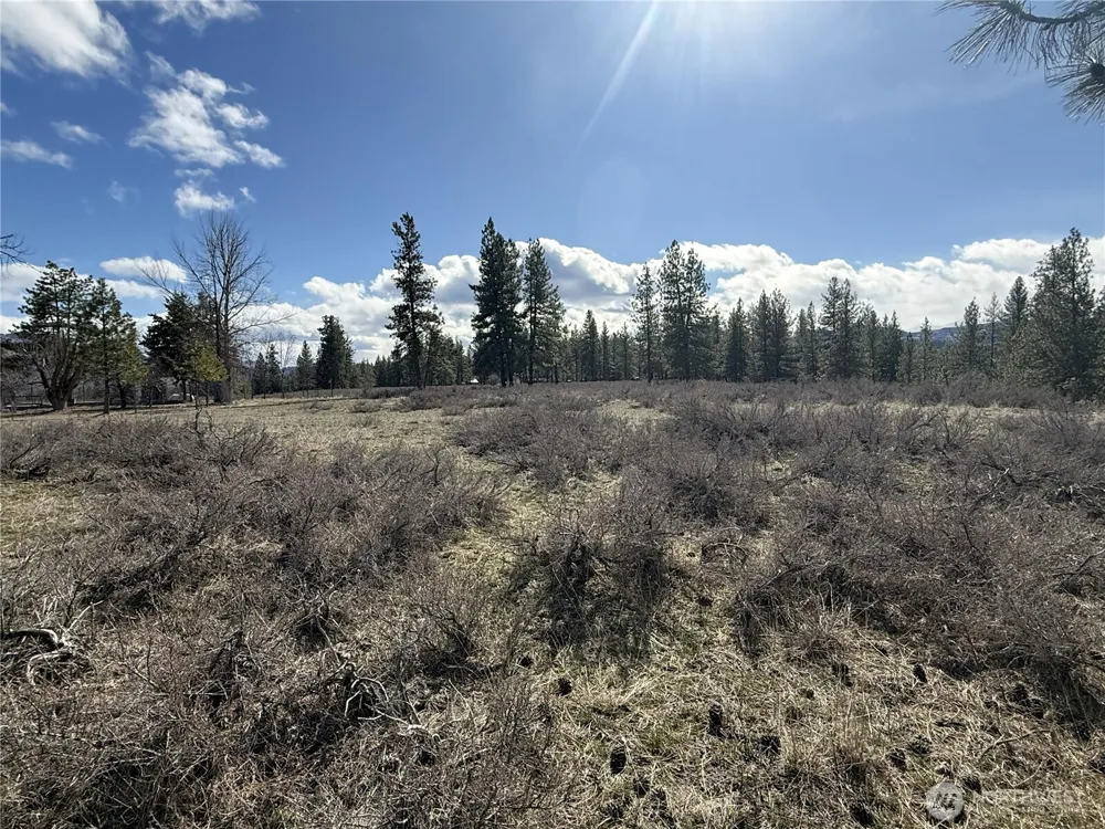 40 TBD Rabbit House Road Winthrop, WA 98862