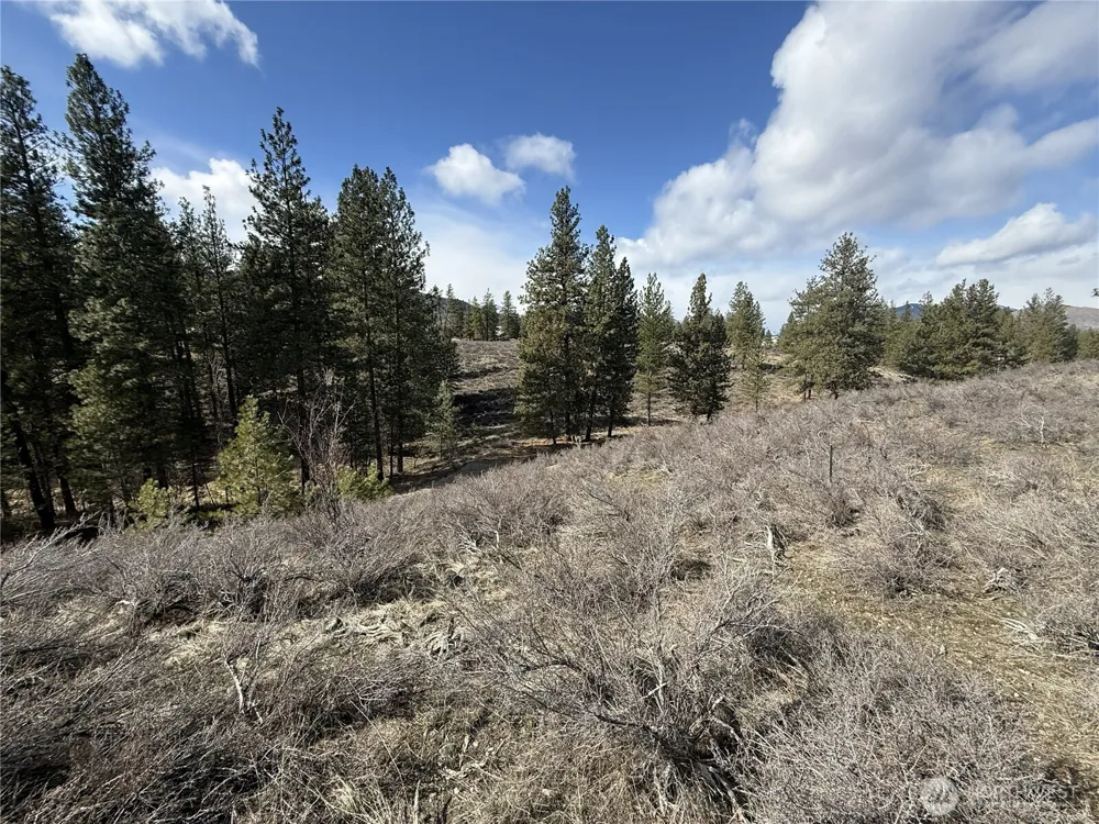 40 TBD Rabbit House Road Winthrop, WA 98862