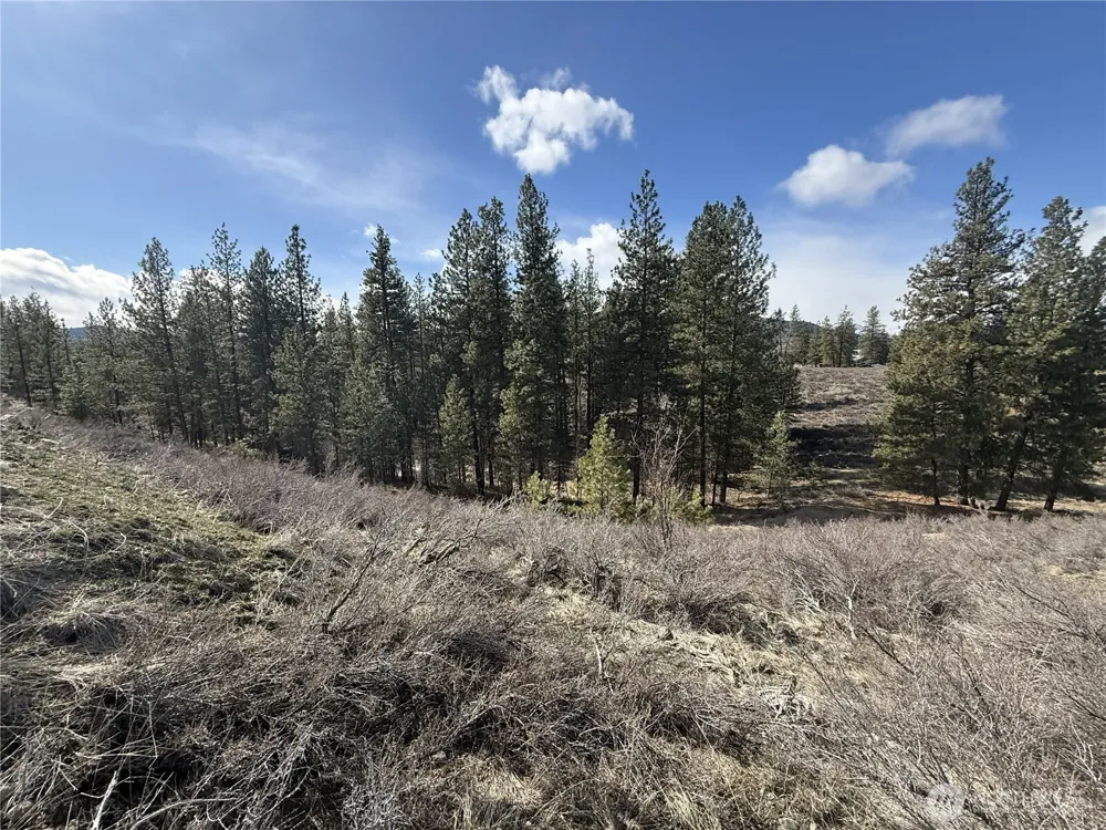 40 TBD Rabbit House Road Winthrop, WA 98862
