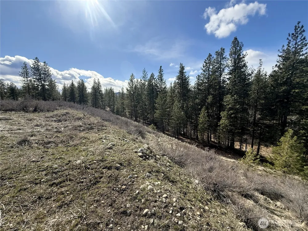 40 TBD Rabbit House Road Winthrop, WA 98862