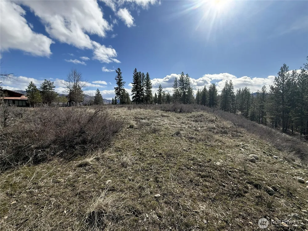 40 TBD Rabbit House Road Winthrop, WA 98862