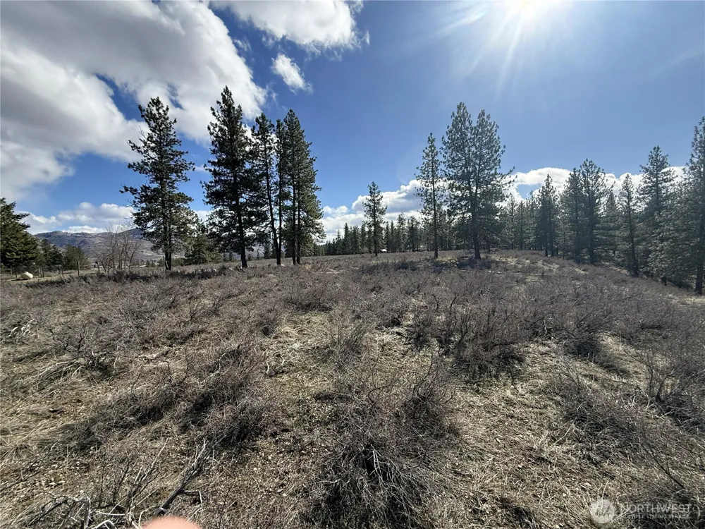 40 TBD Rabbit House Road Winthrop, WA 98862