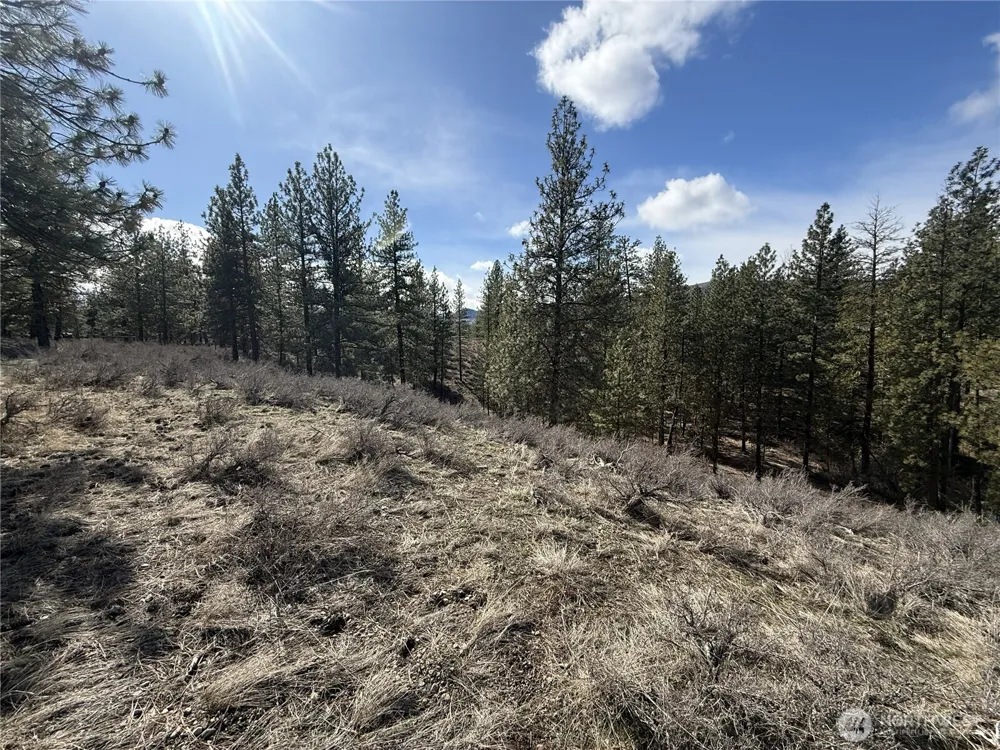 40 TBD Rabbit House Road Winthrop, WA 98862