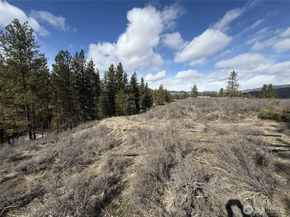 40 TBD Rabbit House Road Winthrop, WA 98862