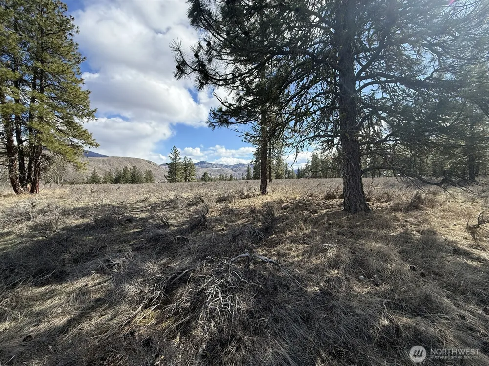40 TBD Rabbit House Road Winthrop, WA 98862