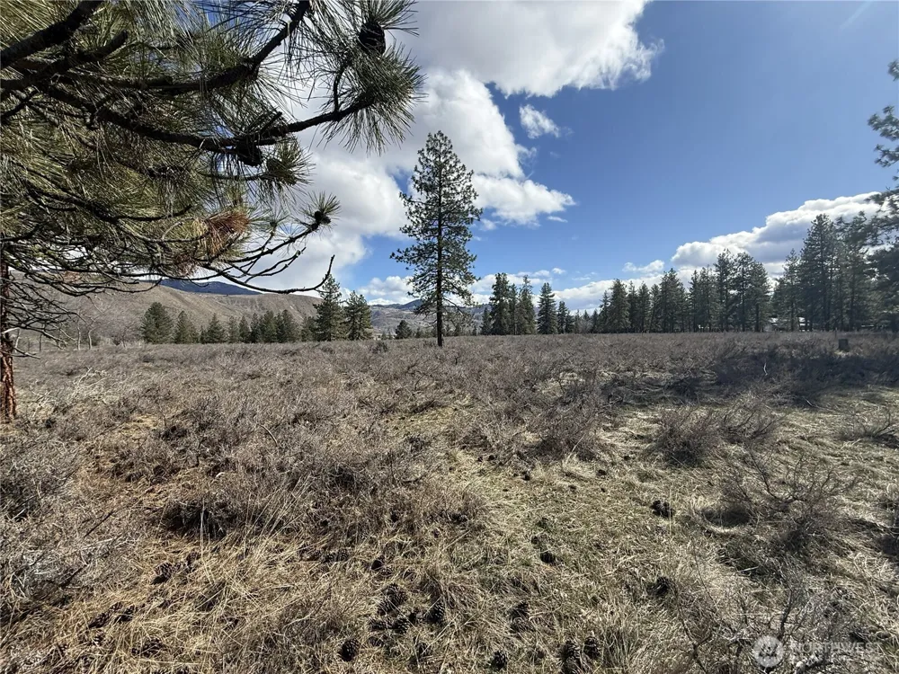 40 TBD Rabbit House Road Winthrop, WA 98862