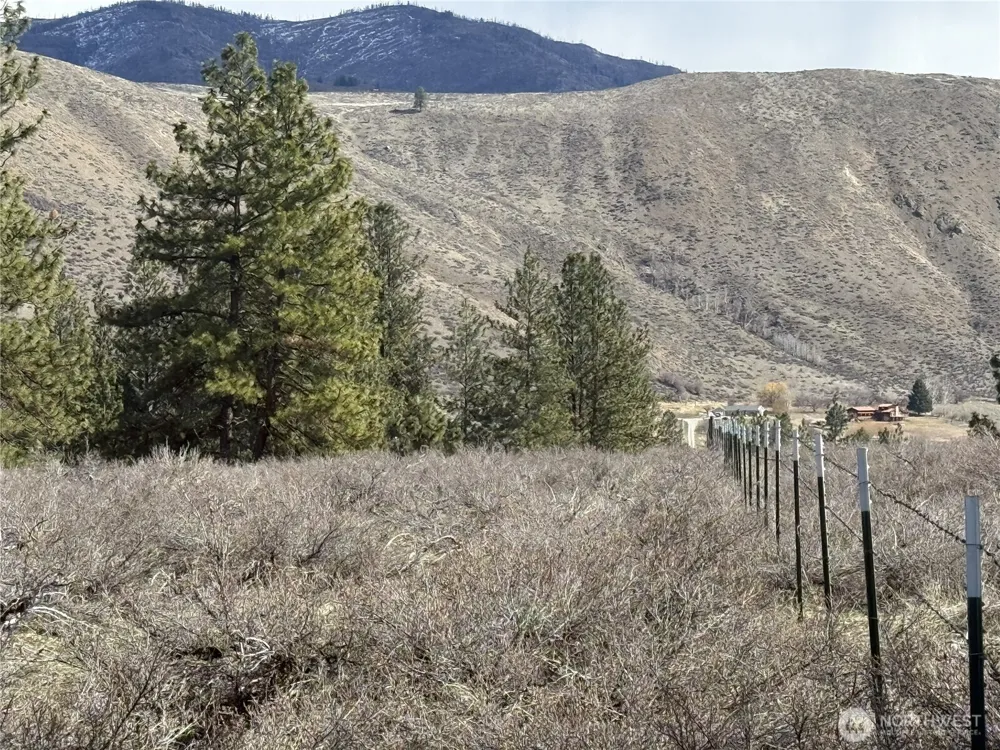 40 TBD Rabbit House Road Winthrop, WA 98862