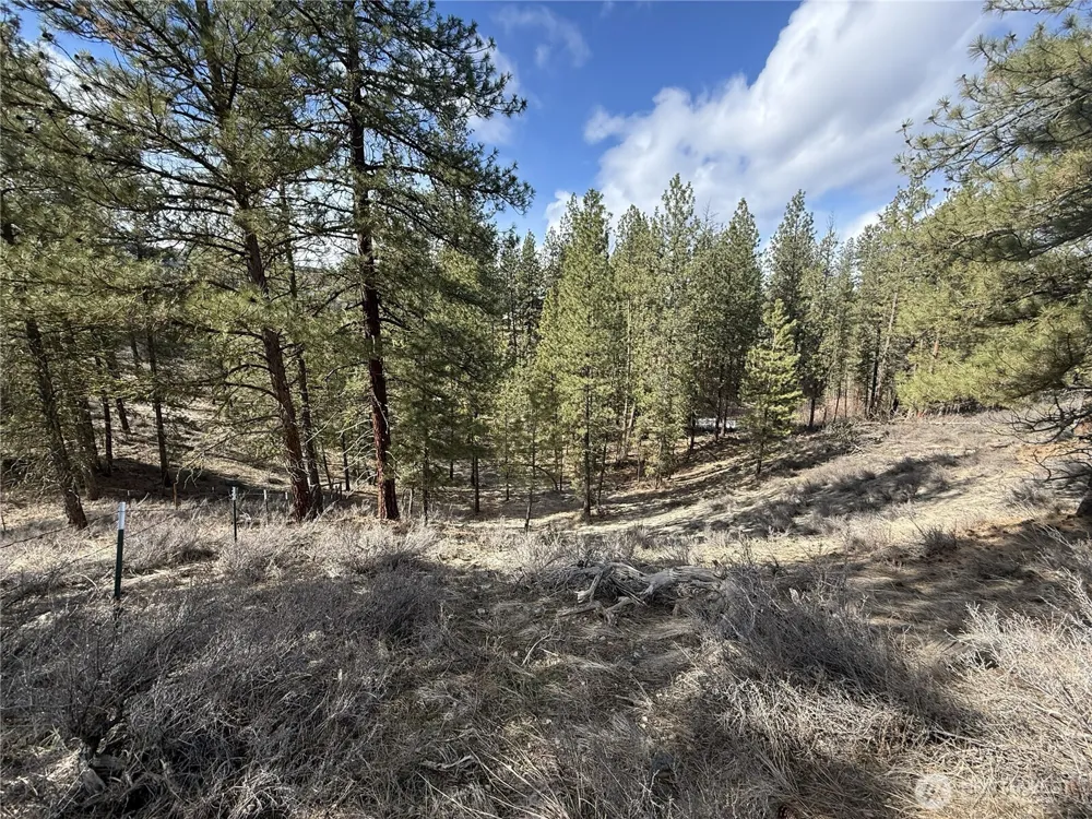 40 TBD Rabbit House Road Winthrop, WA 98862