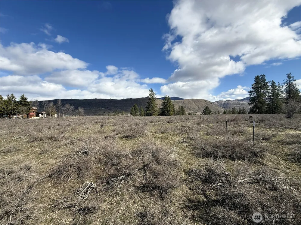 40 TBD Rabbit House Road Winthrop, WA 98862