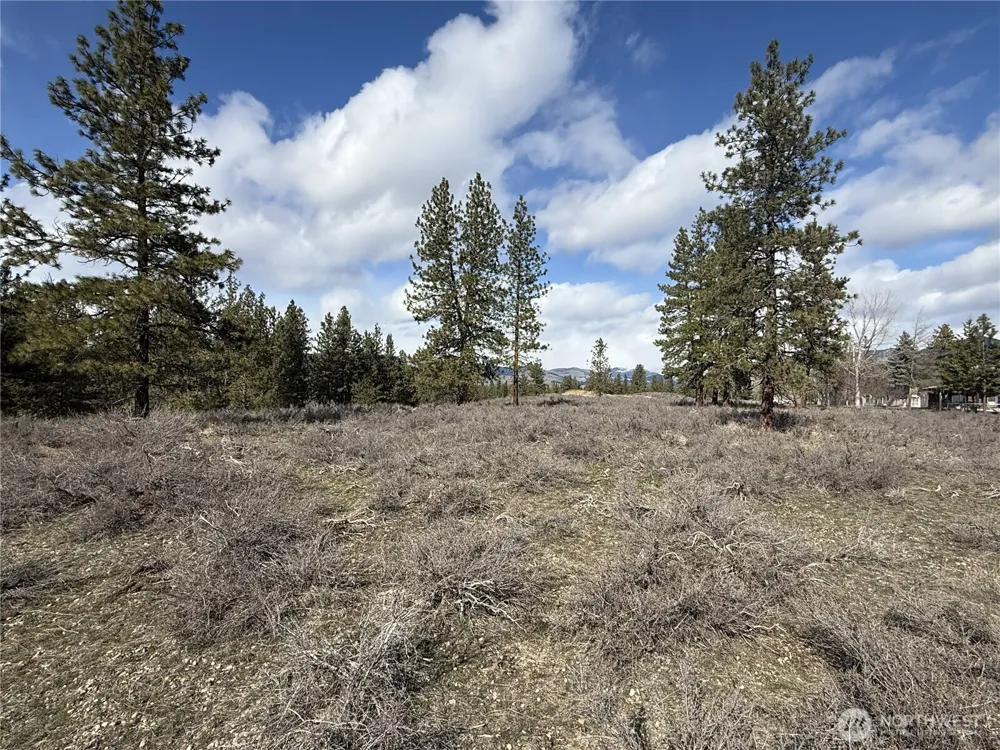 40 TBD Rabbit House Road Winthrop, WA 98862