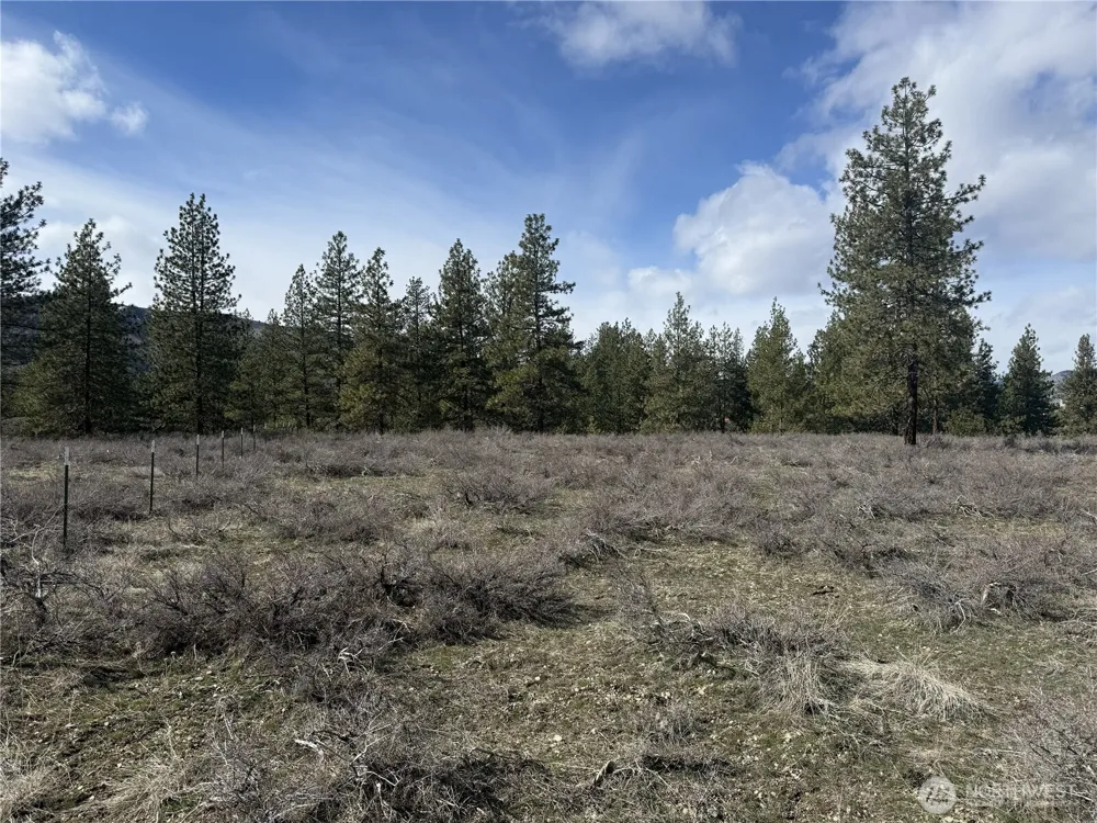40 TBD Rabbit House Road Winthrop, WA 98862
