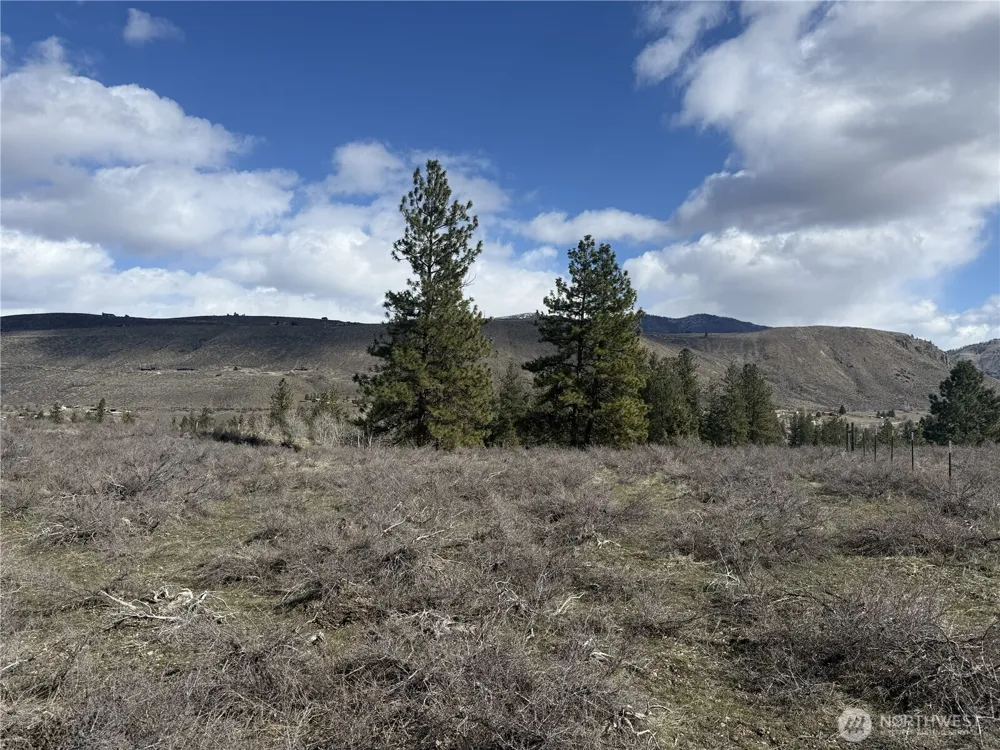 40 TBD Rabbit House Road Winthrop, WA 98862