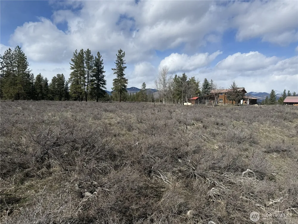 40 TBD Rabbit House Road Winthrop, WA 98862