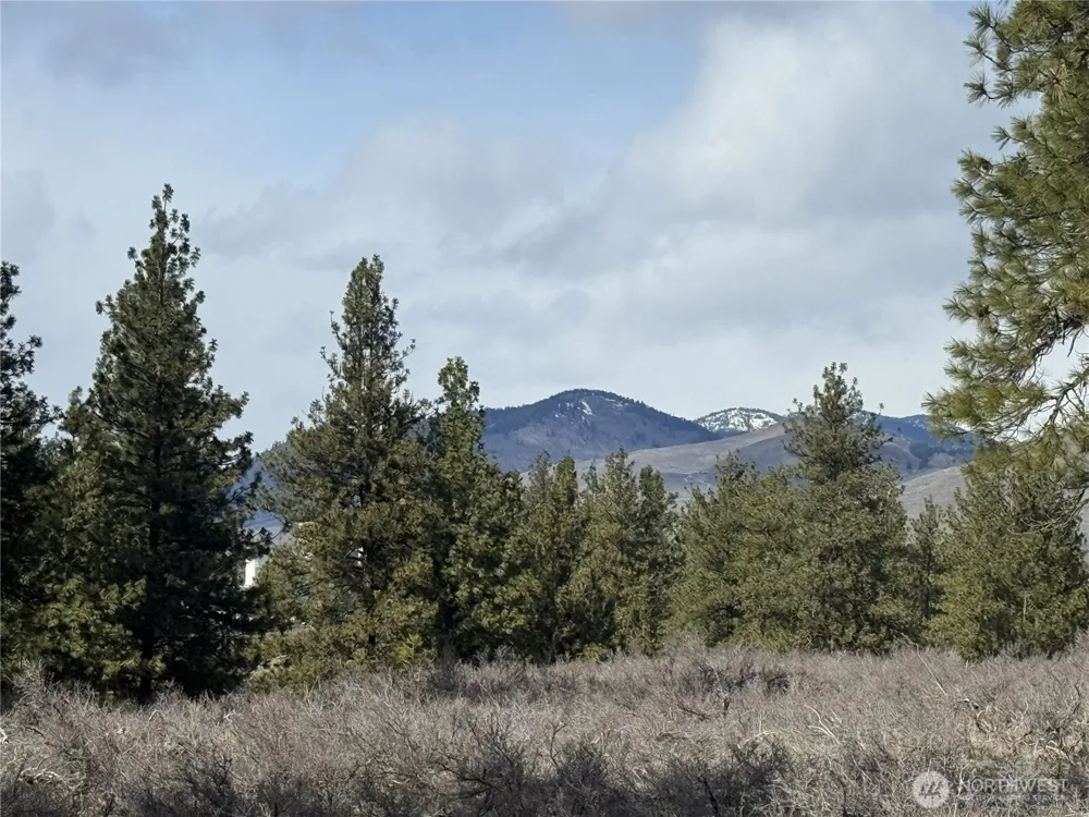 40 TBD Rabbit House Road Winthrop, WA 98862