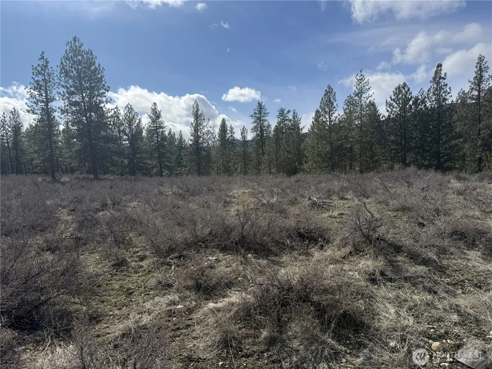 40 TBD Rabbit House Road Winthrop, WA 98862
