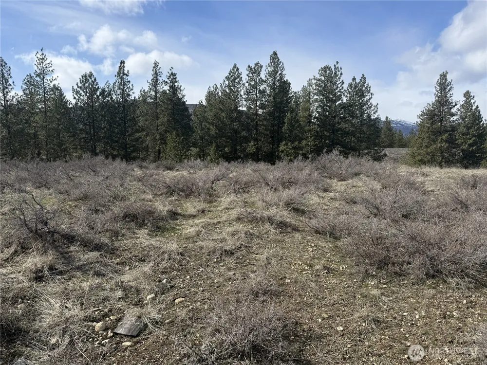 40 TBD Rabbit House Road Winthrop, WA 98862