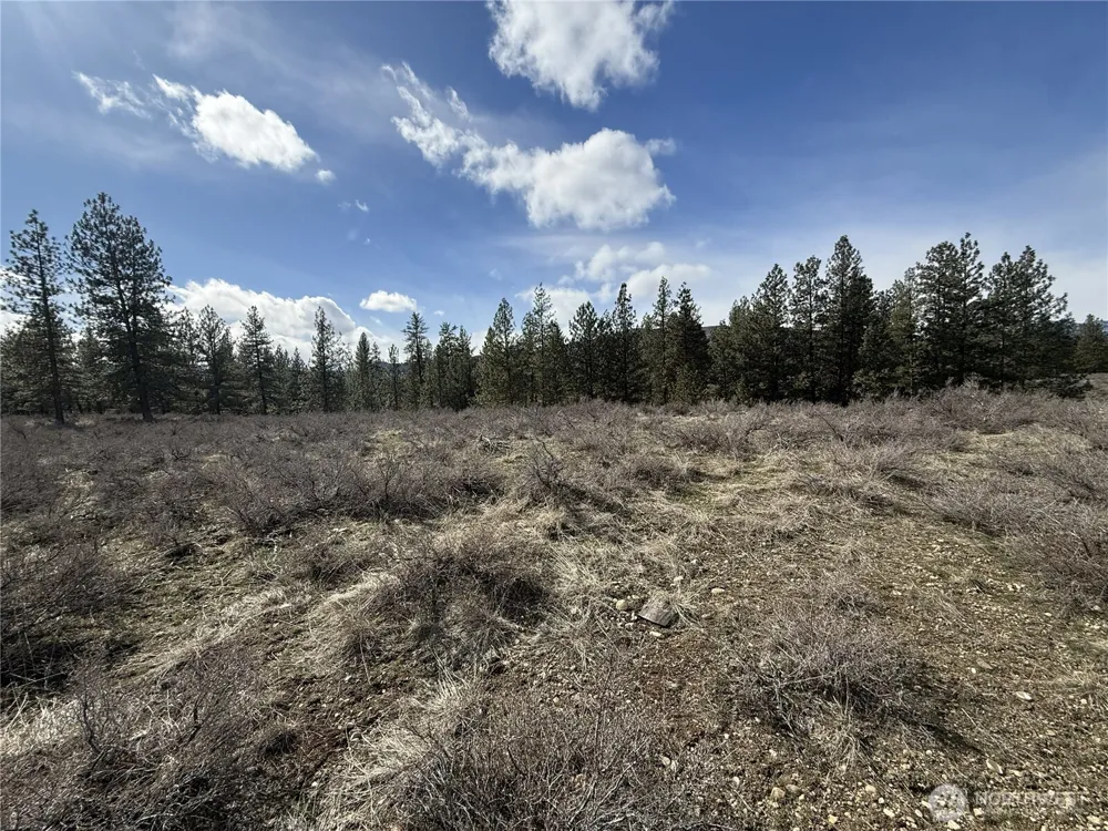 40 TBD Rabbit House Road Winthrop, WA 98862