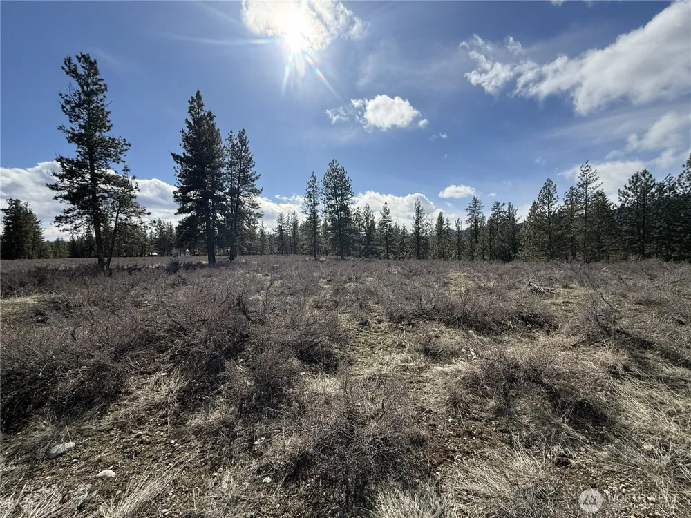 40 TBD Rabbit House Road Winthrop, WA 98862