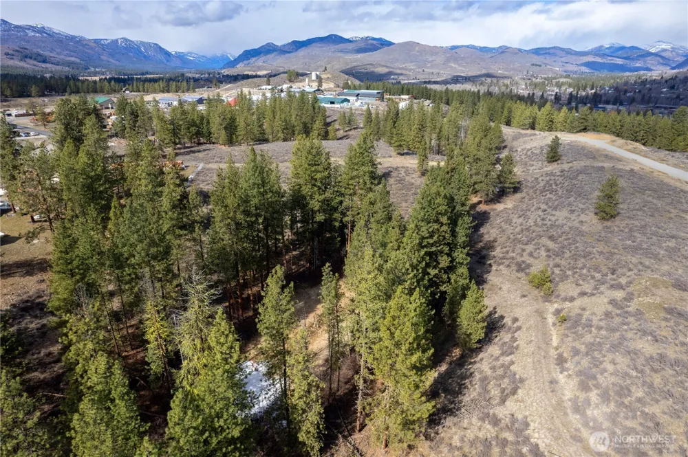 40 TBD Rabbit House Road Winthrop, WA 98862