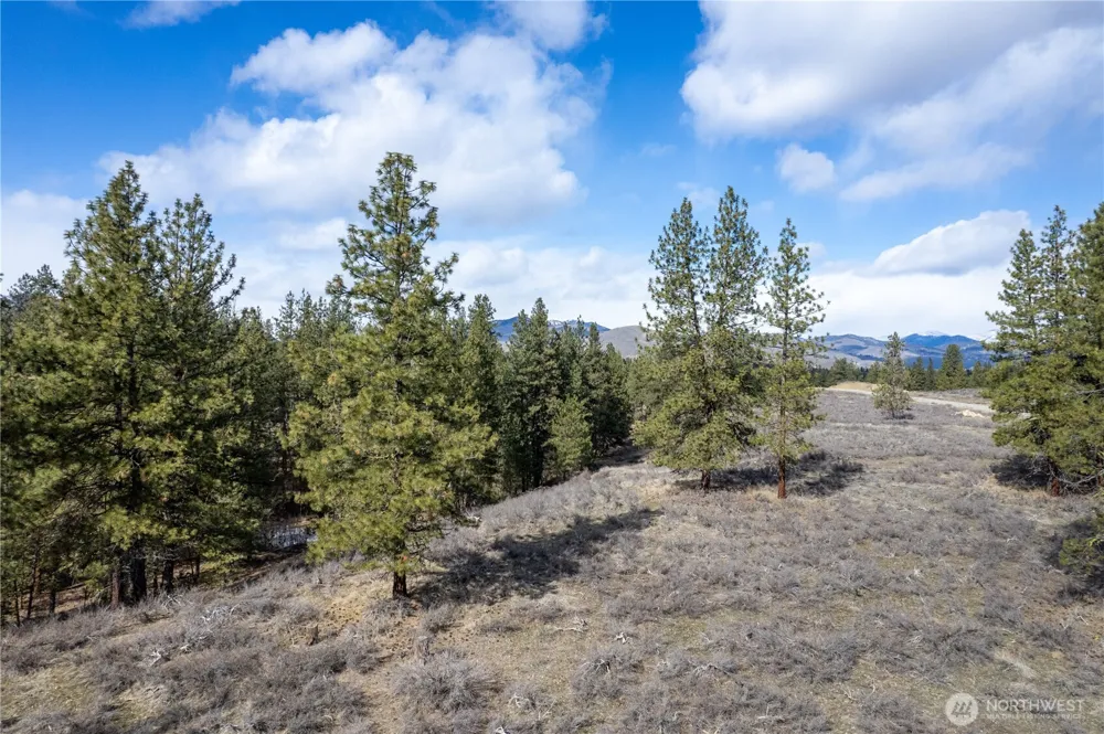 40 TBD Rabbit House Road Winthrop, WA 98862