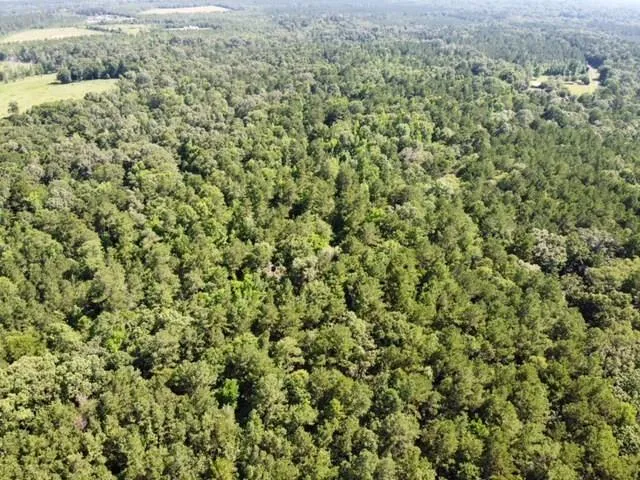 247 Cr 416 San Augustine, TX 75972