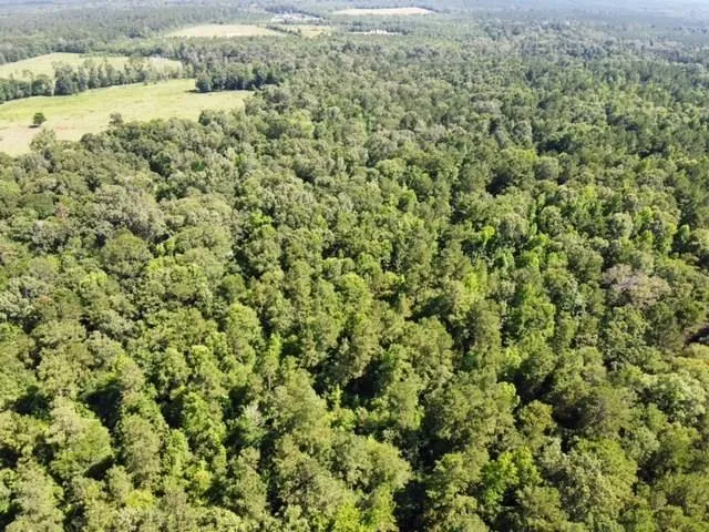 247 Cr 416 San Augustine, TX 75972