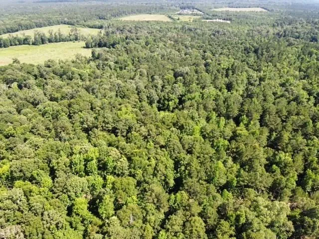 247 Cr 416 San Augustine, TX 75972