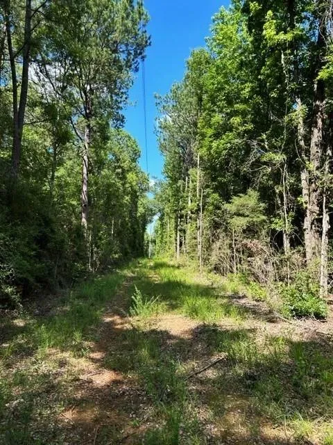 247 Cr 416 San Augustine, TX 75972