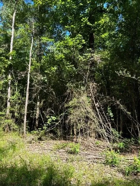 247 Cr 416 San Augustine, TX 75972
