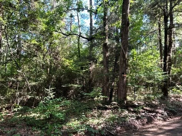 247 Cr 416 San Augustine, TX 75972