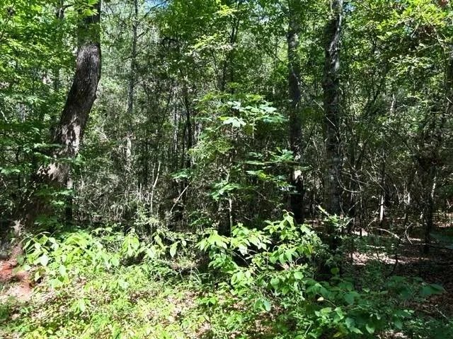 247 Cr 416 San Augustine, TX 75972