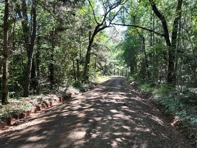 247 Cr 416 San Augustine, TX 75972