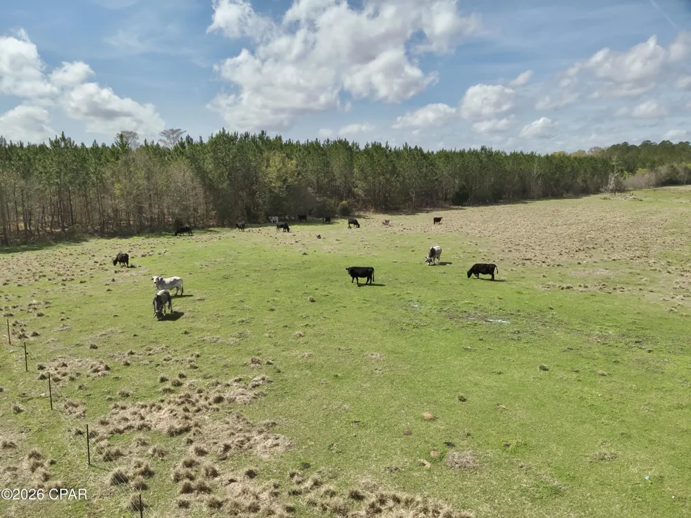 4906 Galloway Road Graceville, FL 32440