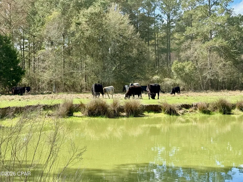 4906 Galloway Road Graceville, FL 32440
