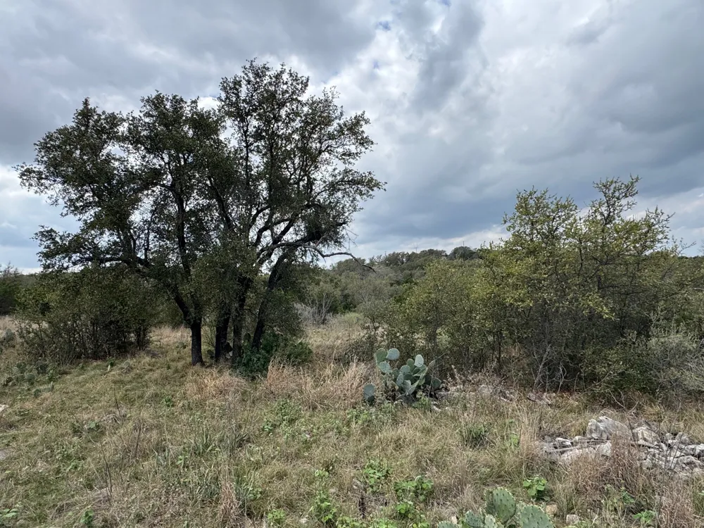34 Eagle Feather Kingsland, TX 78639